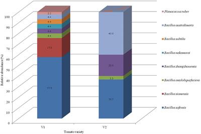 Screening of Tomato Seed Bacterial Endophytes for Antifungal Activity Reveals Lipopeptide Producing Bacillus siamensis Strain NKIT9 as a Potential Bio-Control Agent